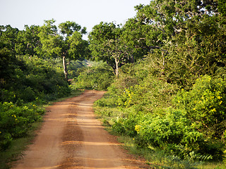 Image showing Bundala National Park in Sri Lanka