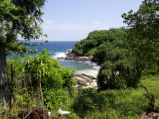 Image showing Beautiful landscape in Sri Lanka