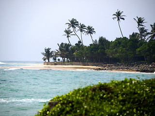 Image showing Beautiful landscape in Sri Lanka