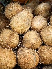 Image showing Coconuts on the market