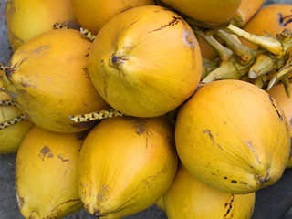 Image showing Coconuts on the market