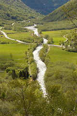 Image showing Green rural landscape