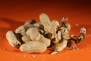 Image showing Plastic People Working on Peanuts