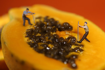 Image showing People Working on Papaya Fruit