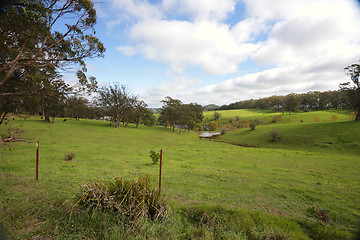 Image showing Rolling hills and cattle grazing Southern Highlands Australia