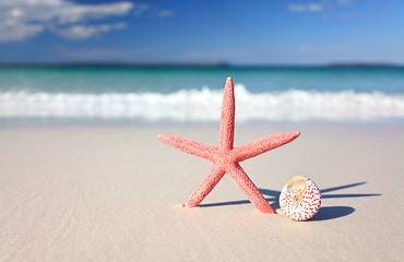 Image showing Sea star and seashell on the seashore