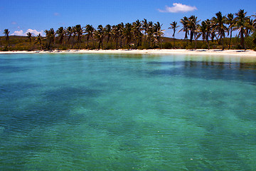 Image showing  and rock in the  blue lagoon relax  of isla contoy  mexico