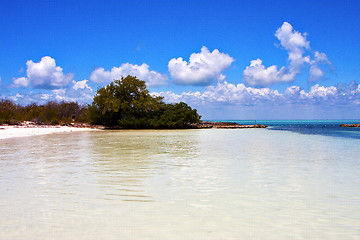 Image showing coastline and   lagoon relax    isla contoy  mexico