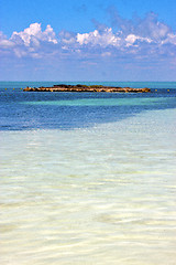 Image showing coastline and rock  the  blue lagoon relax  isla contoy  mexico