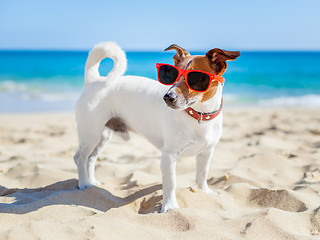 Image showing dog at beach