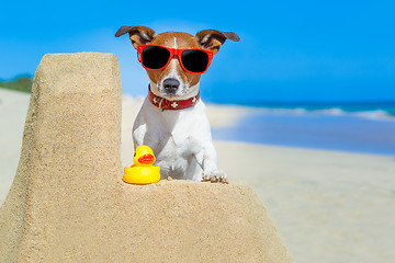 Image showing dog at the beach