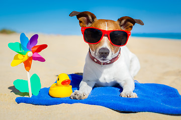 Image showing dog at beach