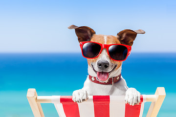 Image showing summer vacation dog