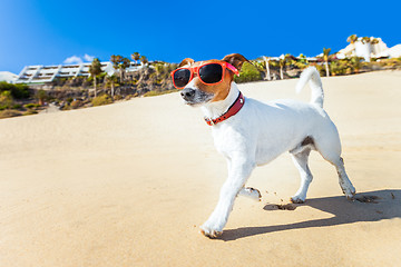 Image showing dog running at beach