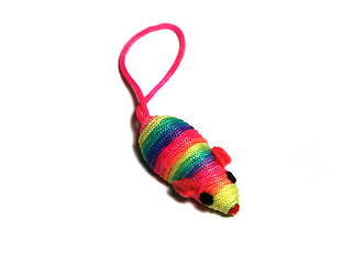 Image showing Colorful rainbow toy mouse