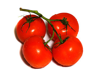 Image showing Four red tomatoes on a branch isolated on white