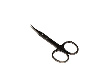 Image showing Steel manicure scissors