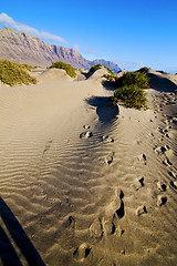 Image showing abstract yellow dune beach  hil   mountain   lanzarote spain 