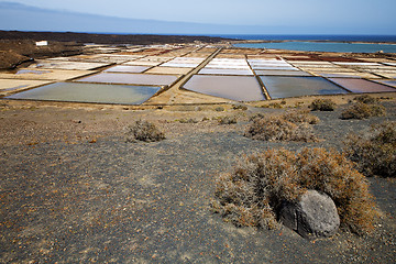 Image showing salt in  lanzarote spain musk  c and summer 