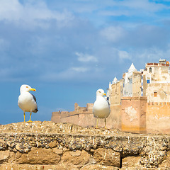 Image showing Essaouira - Magador, Marrakech, Morocco.