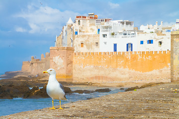 Image showing Essaouira - Magador, Marrakech, Morocco.