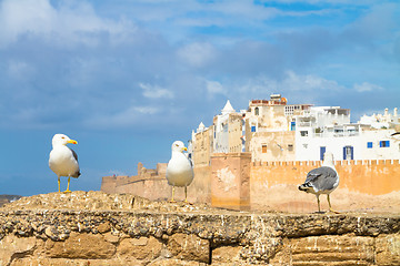 Image showing Essaouira - Magador, Marrakech, Morocco.