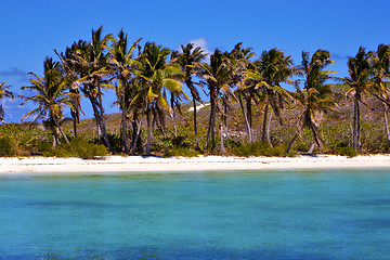 Image showing coastline  rock in the  blue lagoon relax    isla contoy  mexico