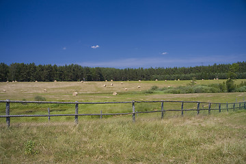 Image showing sommer landscape
