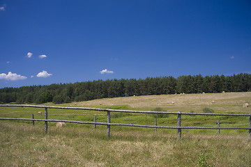 Image showing sommer landscape