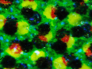 Image showing Halftone micrograph