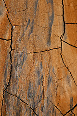 Image showing  spain texture of a broke dry sand 