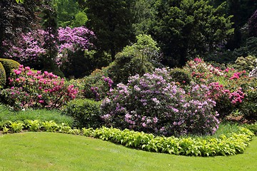 Image showing Garden