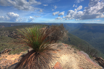 Image showing Buramoko Ridge Blue Mountains National Park Australia