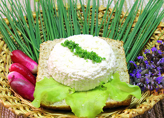 Image showing Cheese appetizer with bread wheat 