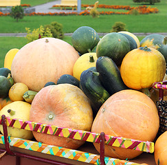 Image showing  Pumpkin carriage