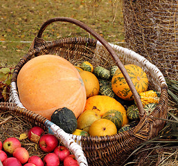 Image showing Pumpkin basket 