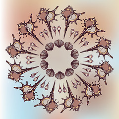 Image showing Mandala made of Seashells.