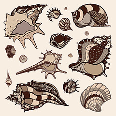 Image showing Sea shells set.