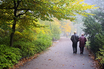 Image showing Senior couple in  park