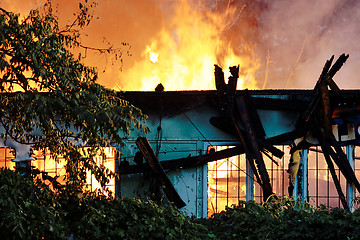 Image showing Firemen in action