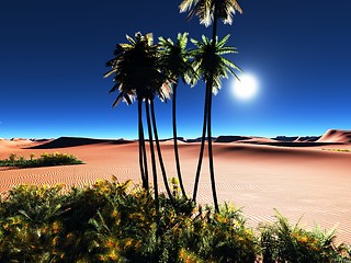 Image showing African oasis