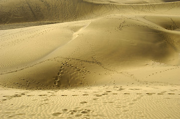 Image showing Foot prints in sand