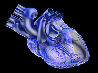 Image showing Model of artificial human heart