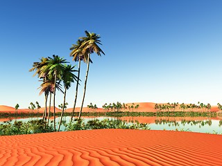 Image showing African oasis