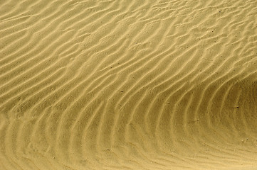 Image showing Pattern in sand