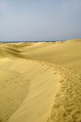 Image showing Sand dunes