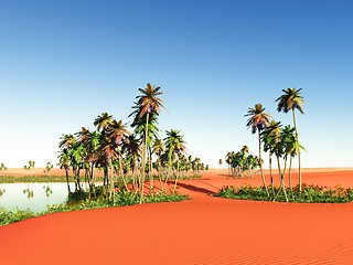 Image showing African oasis