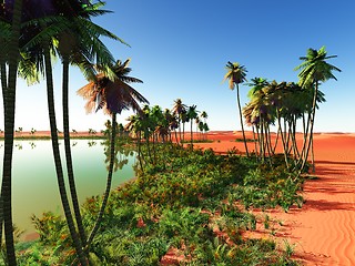 Image showing African oasis