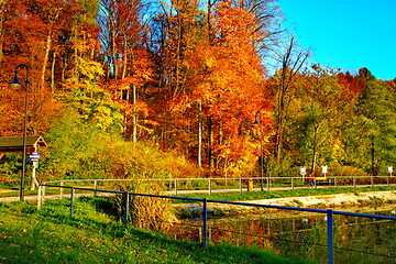 Image showing Pond by the forest