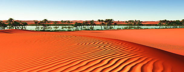 Image showing African oasis